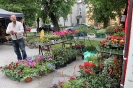 Dla Krajny i Pałuk Wawrzyniec kucharzy - 2013_9