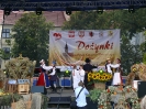 Dożynki wojewódzkie za nami_19