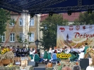 Dożynki wojewódzkie za nami_21