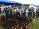 Lato na wsi - Minikowo 13.05.2012r._35