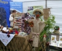 Lato na wsi 2011