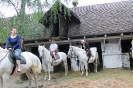 Lepszy przykład niż wykład - Puszcza Knyszyńska, czerwiec 2014 r._10