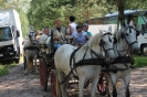 Lepszy przykład niż wykład - Puszcza Knyszyńska, czerwiec 2014 r._26