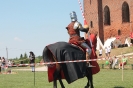 Piknik LEADER - Radzyń Chełmiński, czerwiec 2014 r._5