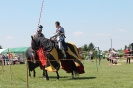 Piknik LEADER - Radzyń Chełmiński, czerwiec 2014 r._6