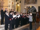Polsko-czeska wymiana kulturowa - wrzesień 2011_8