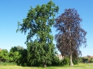 Przewodnik turystyczny_18