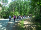 Spacer NW w Witosławiu - sierpień 2015 r._14