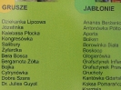 Szkolenie w ramach projektu 