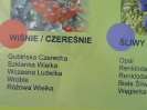 Szkolenie w ramach projektu 