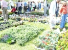 Targi Minikowo_28