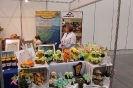 Targi NA STYKU KULTUR - Łódź, 13-15 marca 2015 r._3