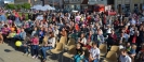 VII Festiwal Orkiestr Dętych