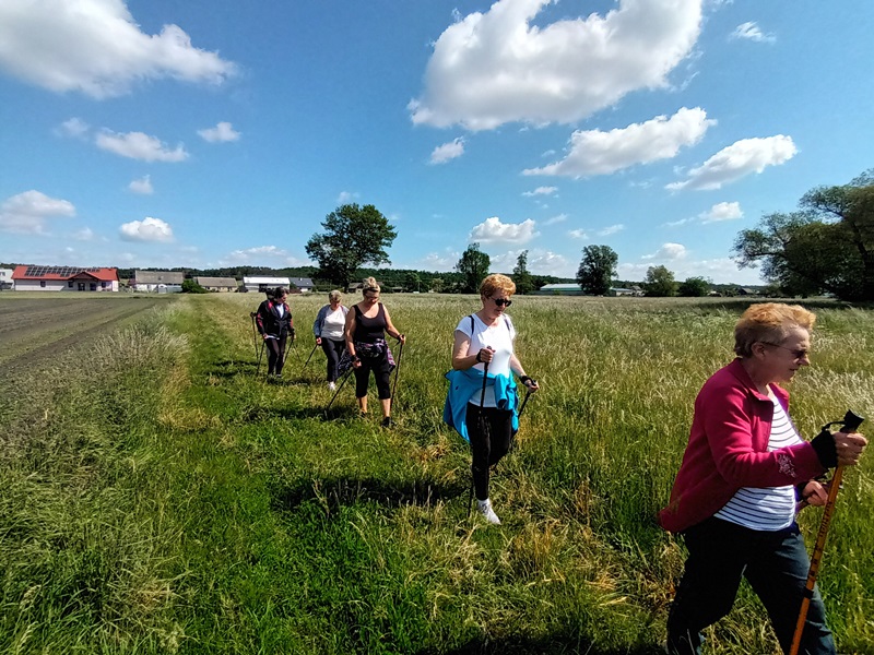 uczestniczki na spacerze nordic walking