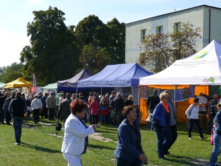 ekom 2014 06